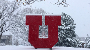 Snowy-U-300x168